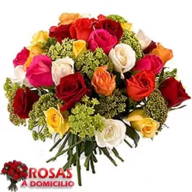 RAMO DE 24 ROSAS MULTICOLOR