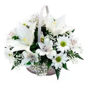 CONDOLENCIAS EN CANASTILLO PEQUEÑO CON LILIUMS Y ASTROMELIAS