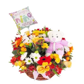 NACIMIENTO CANASTILLO CELEBRACIÓN ES NIÑA