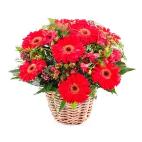 CANASTILLO 10 GERBERAS ROJAS
