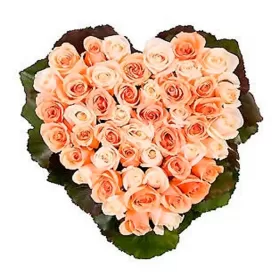 CORAZON DE ROSAS CHAMPAGNE