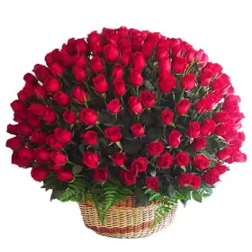 CANASTILLO GIGANTE CON 100 ROSAS ROJAS