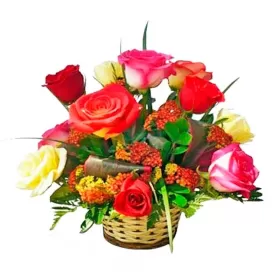 CANASTILLO 12 ROSAS MIX