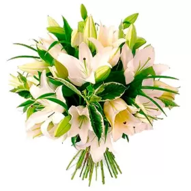 CONDOLENCIAS EN RAMO LILIUMS BLANCOS