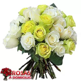 RAMO DE 24 ROSAS BICOLOR LIMON