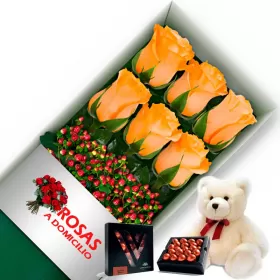 CAJA 6 ROSAS DAMASCO + PELUCHE Y CHOCOLATE VARSOVIENNE