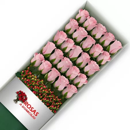 Caja 24 Rosas Rosadas