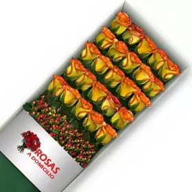 Caja 24 Rosas Circus