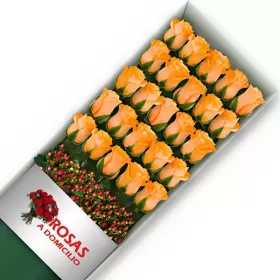 Caja 24 Rosas Damasco