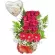 Florero Aniversario 12 Rosas Rosadas Más Eucalipto Hipericos Rojos y globo
