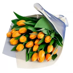 Ramo de 20 Tulipanes Damasco
