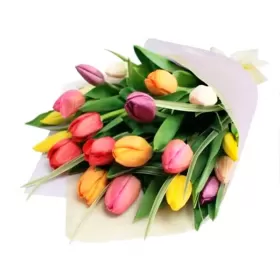 Ramo de 20 Tulipanes Colores Mix | Alegría Floral en Rosasadomicilio.cl 🌷