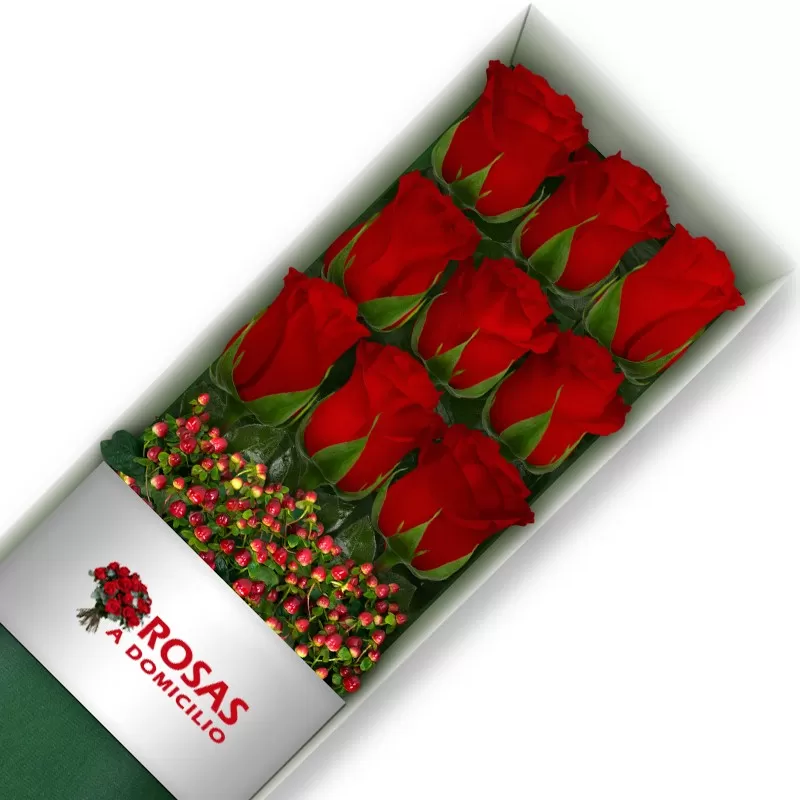 Caja de 9 Rosas Rojas