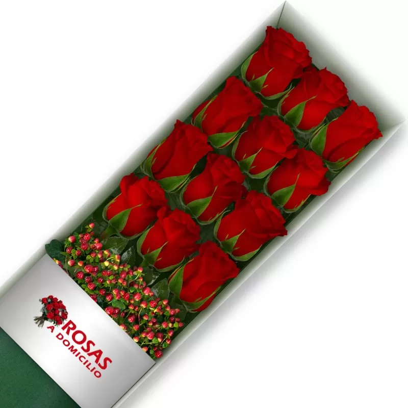 CAJA 12 ROSAS ROJAS