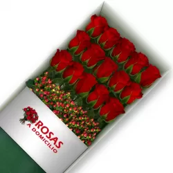 Caja de 15 Rosas Rojas