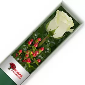 Caja 1 Rosa Blanca