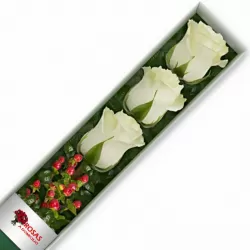 Caja 3 Rosas Blancas