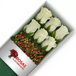 Caja 6 Rosas Blancas
