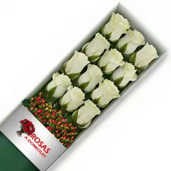Caja 12 Rosas Blancas