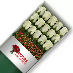 Caja 15 Rosas Blancas