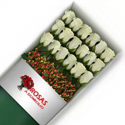 Caja 18 Rosas Blancas