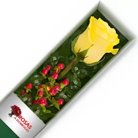 CAJA 1 ROSA AMARILLA