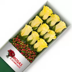 Caja 9 Rosas Amarillas