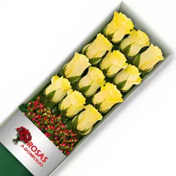 Caja 12 Rosas Amarillas