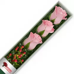 Caja 3 Rosas Rosadas