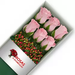 Caja 6 Rosas Rosadas