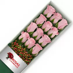 Caja 12 Rosas Rosadas