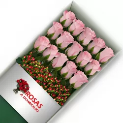 Caja 15 Rosas Rosadas