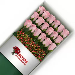 Caja 18 Rosas Rosadas