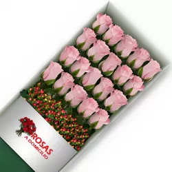 Caja 20 Rosas Rosadas