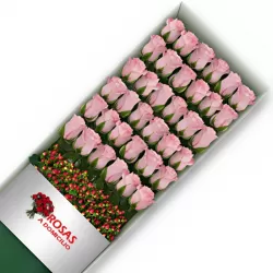 Caja 36 Rosas Rosadas