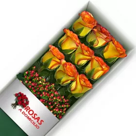 CAJA 9 ROSAS CIRCUS