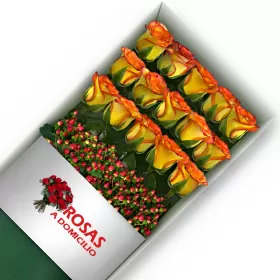 CAJA 15 ROSAS CIRCUS