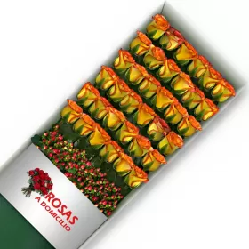 CAJA 36 ROSAS CIRCUS