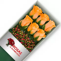 Caja 6 Rosas Damasco