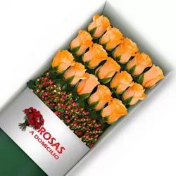 Caja 15 Rosas Damasco