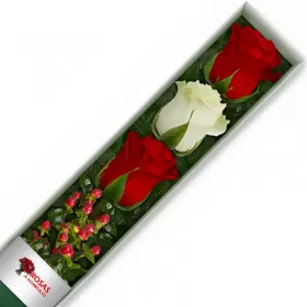 Caja 3 Rosas Blancas y Rojas