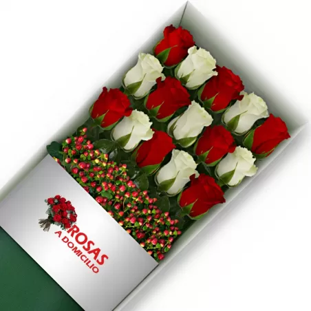 Caja 15 Rosas Blancas y Rojas