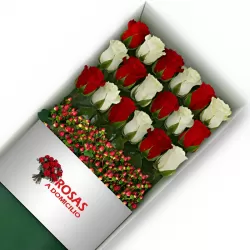 Caja 18 Rosas Blancas y Rojas