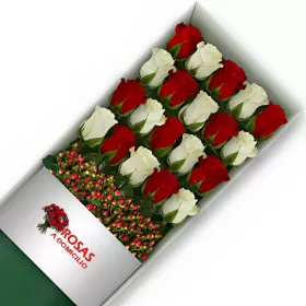 Caja 20 Rosas Blancas y Rojas