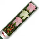 Caja 3 Rosas Blancas y Rosadas