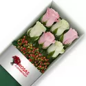 Caja 6 Rosas Blancas y Rosadas