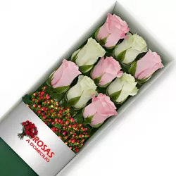 Caja 9 Rosas Blancas y Rosadas