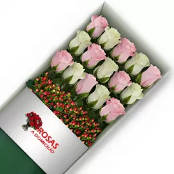 Caja 15 Rosas Blancas y Rosadas