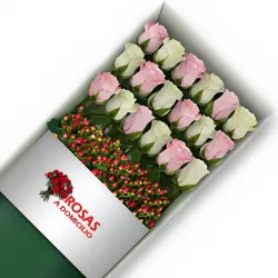Caja 18 Rosas Blancas y Rosadas
