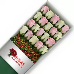 Caja 20 Rosas Blancas y Rosadas